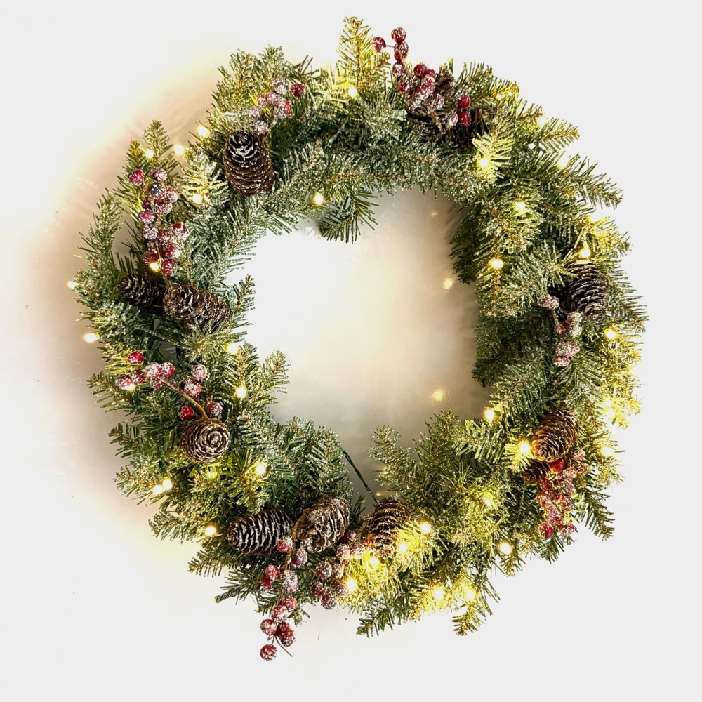 Home Decorators Collection 24in Snowy Dunhill Fir Pre-Lit Wreath HDUF3-300-24W-B